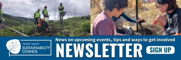 Image of people working on volunteer projects with text that reads YVSC Newsletter, Sign up