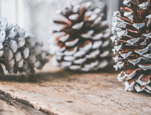 8 Ways to Make Your Holidays More Sustainable