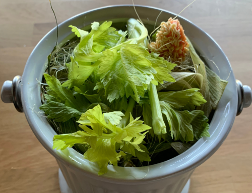 Talking Green: Reduce and recycle organic waste