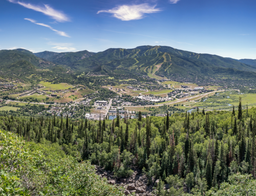 Intern Highlight: Introduction of the Yampa Valley Green Business Program