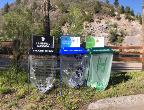 Intern Highlight: Waste Diversion Education and Updates