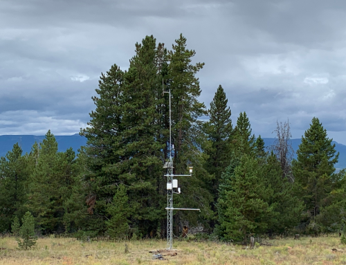 Intern Highlight: Interpreting Soil Moisture Data