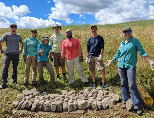 Talking Green: Looking back on another year of successful restoration projects