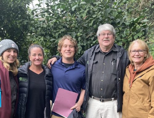 Credibility counts for eco-conscious consumers