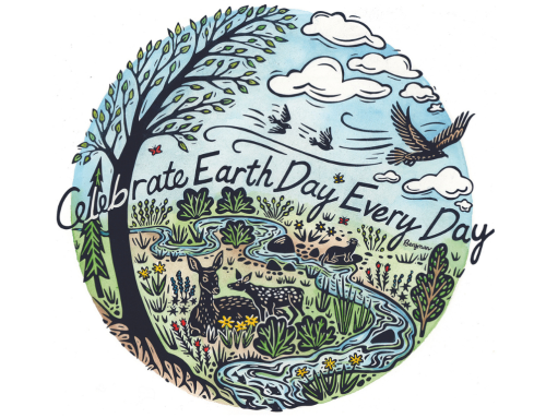 Celebrate Earth Day every day with artwork by Jill Bergman