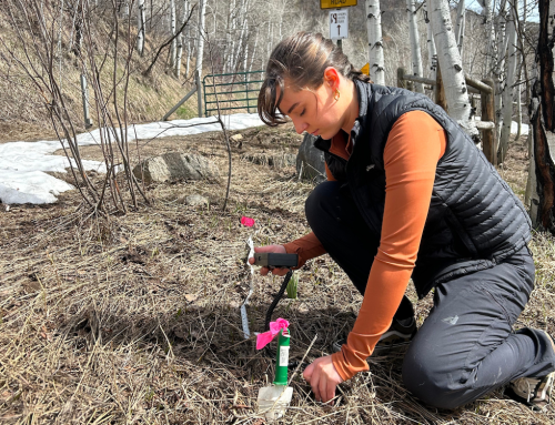 Intern Highlight: how interacting with soil affects our mental and communal health