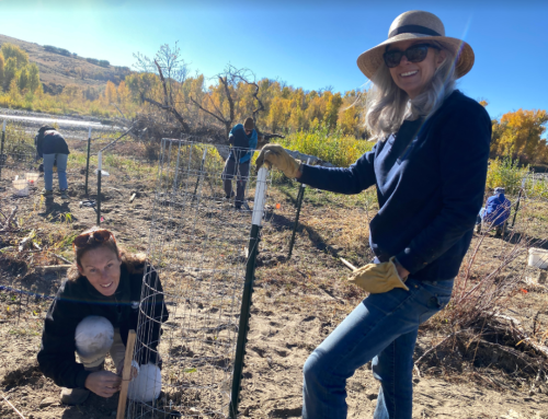 Finding sage-grouse and your personal climate actions