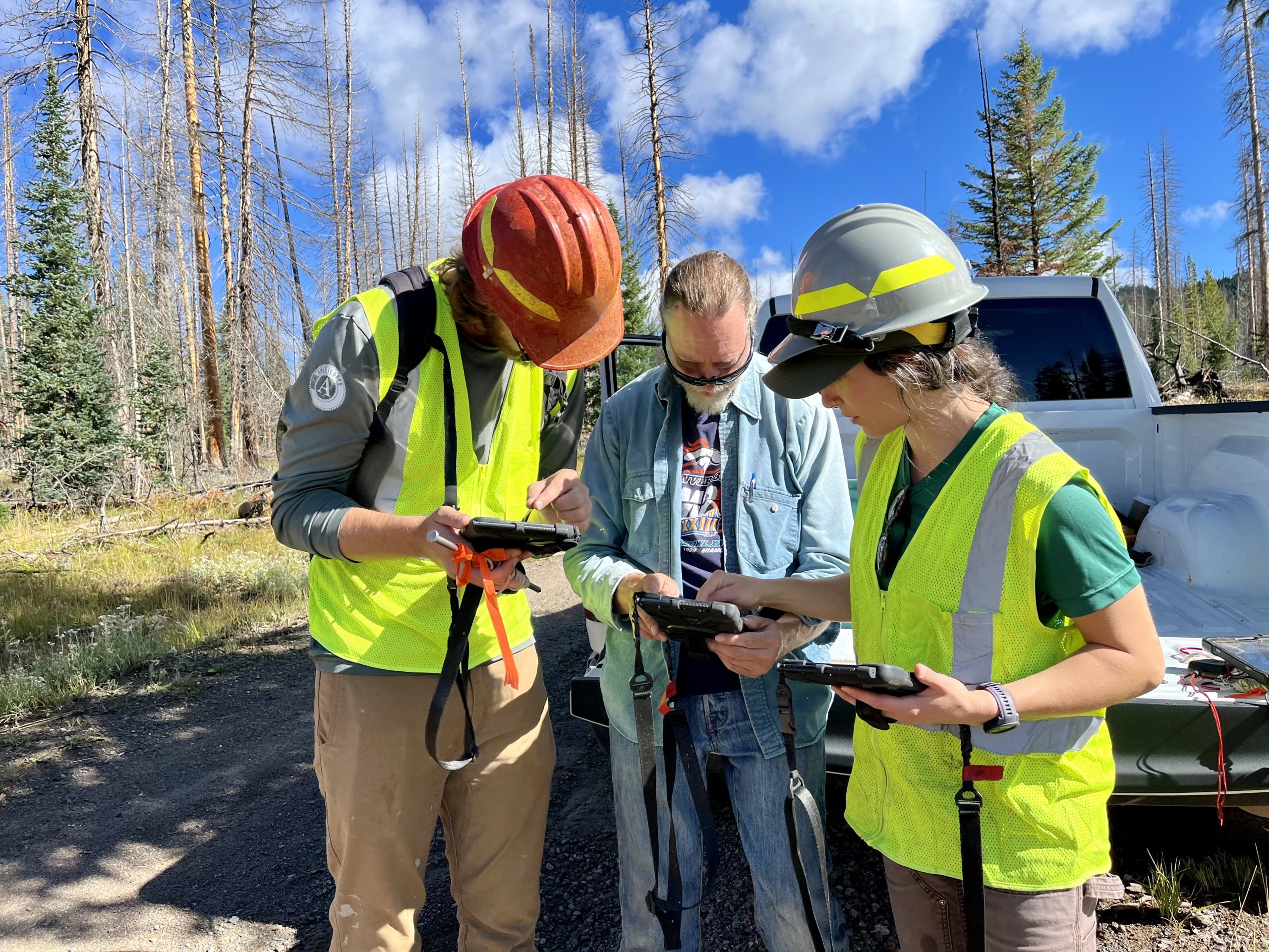Photo of people in vests looking at tablets with forest background