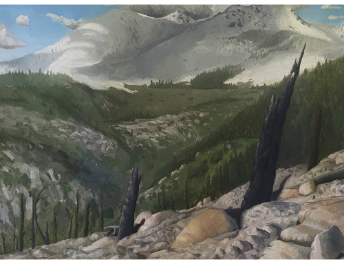 Healthy Forests: The importance of fire