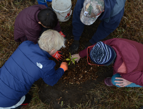 Learn more about our sponsor, YVEA