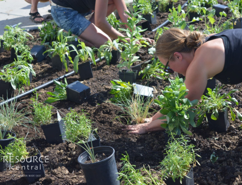 Garden In A Box landscaping program comes to Yampa Valley