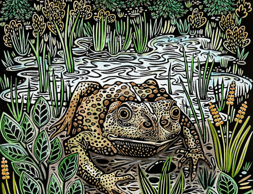 Benefits of Biodiversity: Valuable wet meadows