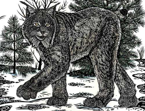 Benefits of Biodiversity: A balancing act for all