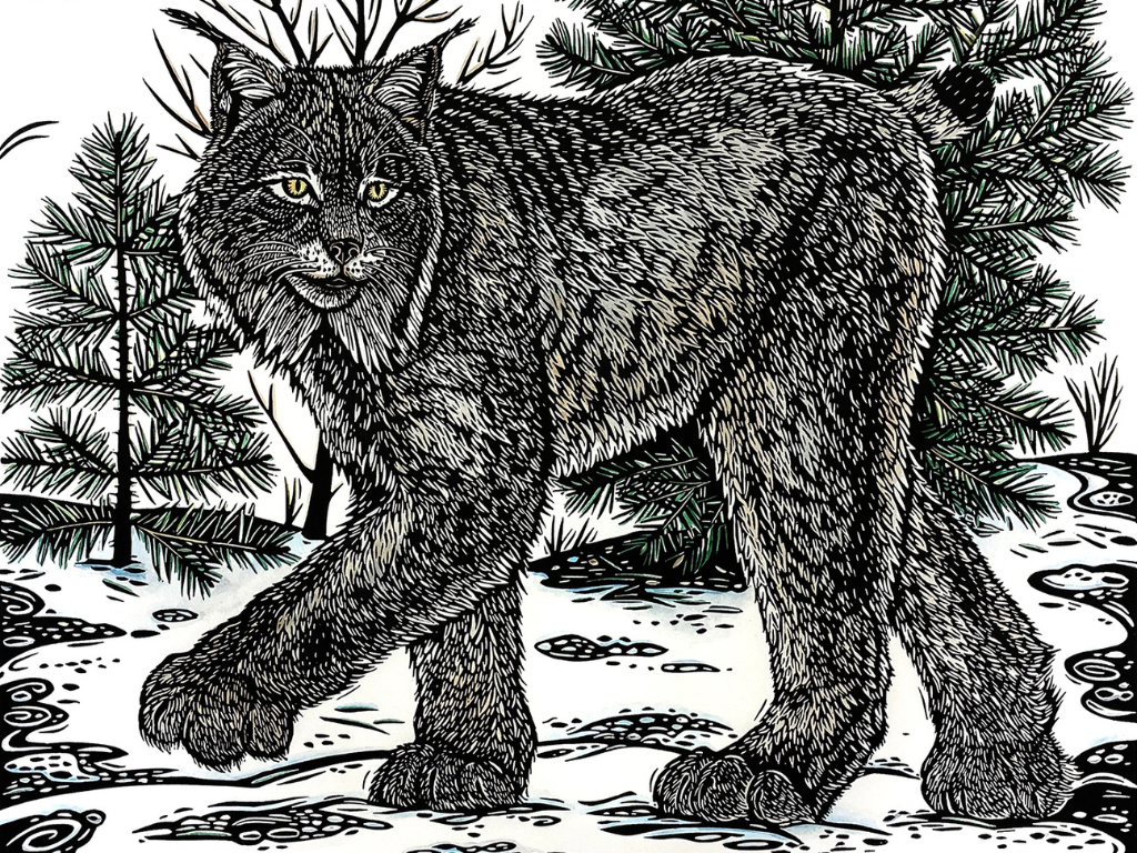 Black and white linocut of a lynx creeping through the forest.
