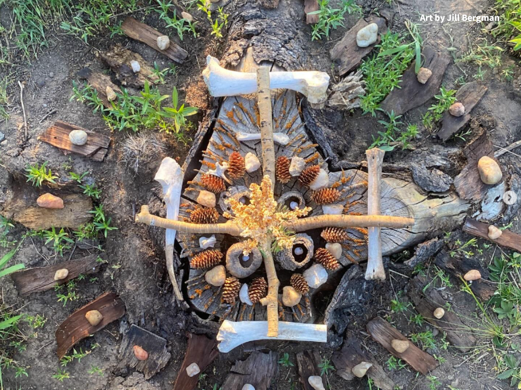 A collection of bones, rocks, pinecones and other natural materials arranged into a mandala shape.