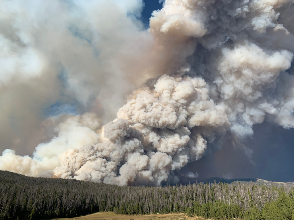 Image of large smoke plume rising from evergreen forest