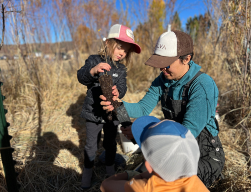 Southwest Airlines & YVSC: Flying higher together